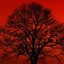 Red-Black Tree