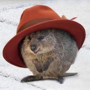 DrQuokkeee