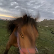 富士山不落樱花