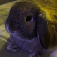 Tubby