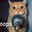 cookie_boy