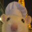 john john