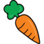 Carrot