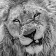 延安百米大道枪手