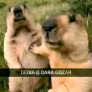 Correria