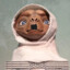 !pablo