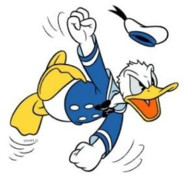 Pulto Donald