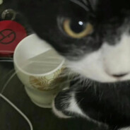 要不要请你吃小饼干