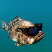 this fish is cool as hell