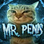 Mr.Penis