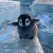 Valpova - steam id 76561198858870966