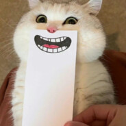 翻斗花园突击手健康哥