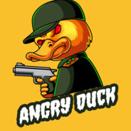 ANGRY DUCK