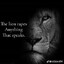 The Lion