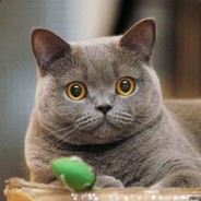 一下飞机我就导，能导一秒是一秒