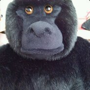 Shrez - steam id 76561197965604263