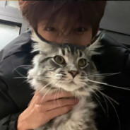 她似花落亦似霞.