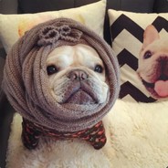 普通家庭马化腾