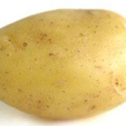 Potato
