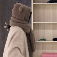 小猫爱吃三文鱼