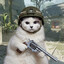 SHEVA