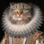 Royal Cat