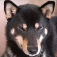 plaah - steam id 76561197960485621
