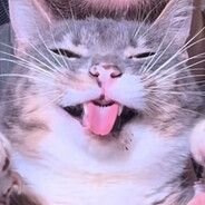BeeeM