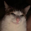 zemzelett