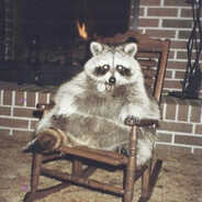 Raccoon - steam id 76561198421003754