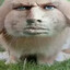 Потужнослав
