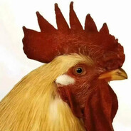 不满意的红毛（新兵）