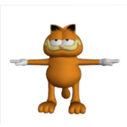 I am cat