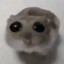 Dontor