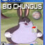 bungus chungus