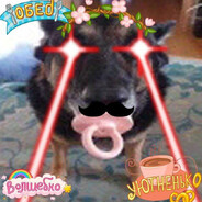 архитектор blunt