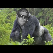 GorillaDaBoss