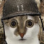 ZeKat