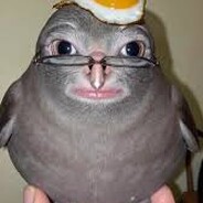 dill doe