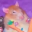 rat ciggy