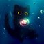 чёрная кошка