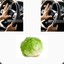 beep beep lettuce