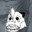 Evil Neko's Avatar