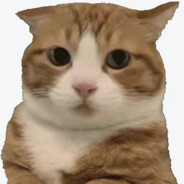 等待花季烟雨稠