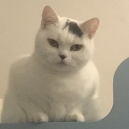 不小心坑了队友