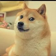 [ФОП]Doge