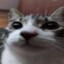 ``shadow``