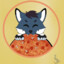 vipux_coastfox