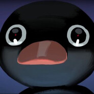 NOOT NOOT!