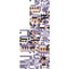 MissingNo.